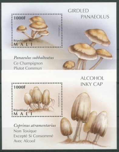 Mali 1996 Pilze Block 78/79 postfrisch (C24528)