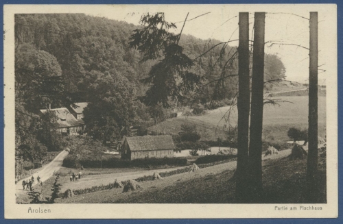Arolsen Partie am Fischhaus, gelaufen 192? (AK1226)