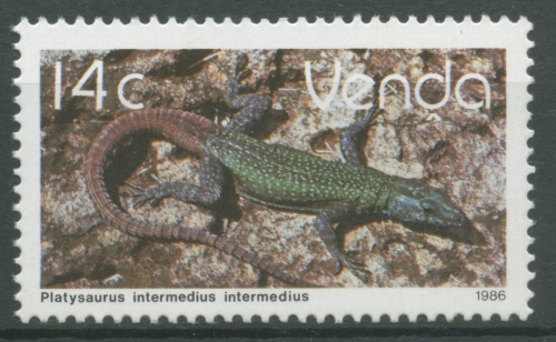 Venda 1986 Reptilien Plattechse 137 postfrisch