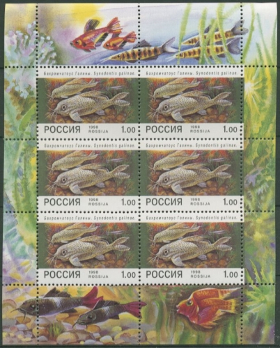 Russland 1998 Zierfische Fische Kleinbogen 648 K postfrisch (C16852)