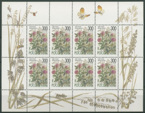 Russland 1995 Feldblumen Kleinbogen 437 K postfrisch (C16886)