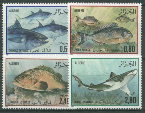 Algerien 1985 Fische Glatthai Zackenbarsch Thunfisch 873/76 postfrisch