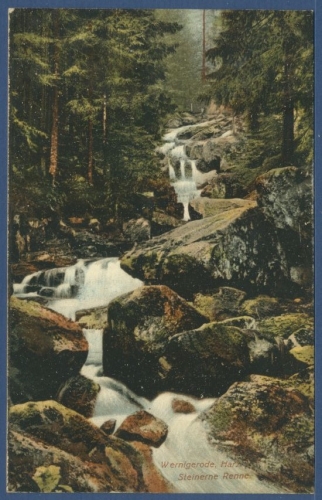 Wernigerode Harz Steinerne Renne, gelaufen 1908 (AK1569)