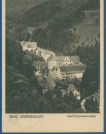 Bad Griesbach badischer Schwarzwald, gelaufen 1928 (AK2047)