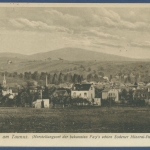 Bad Soden am Taunus Fay's Mineralpastillen, gelaufen 1931 (AK2212)