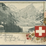 Seealpsee Appenzell Gemse Edelweiß Prägekarte, gelaufen 1905 (AK2944)