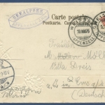 Seealpsee Appenzell Gemse Edelweiß Prägekarte, gelaufen 1905 (AK2944)