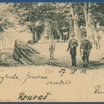 Kiel Düsterbroker Allee gelaufen 1902 (AK82)