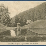 Lautenthal im Harz Neuer Teich Hotel Waldkater Bergbau, gelaufen 1926 (AK184)
