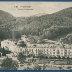 Bad Wildungen Fürstliches Badehotel, gelaufen 1918 (AK412)