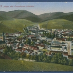 Markirch Gesamtansicht gegen den Grenzkammm, gelaufen 1916 als Feldpost (AK858)