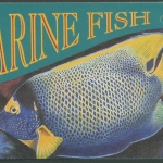 Singapur 1995 Umweltschutz Kaiserfisch Markenheft MH 18 postfrisch (D8717)
