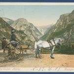 Norwegen Naerödalen in Sogn, Kariol Pferdewagen, gelaufen 1901 (AK4867)