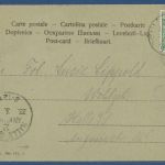 Fröhliche Ostern Küken Familie beim Spaziergang, gelaufen 1902 (AK5625)