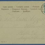 Fröhliche Ostern Küken im Sturm, gelaufen 1902 (AK5621)