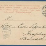 Fröhliche Pfingsten Maikäfer auf Erlenzweig, gelaufen 1905 (AK5610)