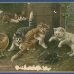 Junge Katzen und Igel, gelaufen 1902, Mängel (AK5620)