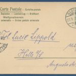 Drei junge Katzen im Heu, gelaufen 1902 (AK5619)