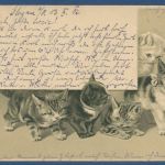 Fünf junge Katzen Prägekarte, gelaufen 1902 (AK5626)