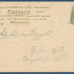 Zwei junge Katzen mit Schreibfeder Prägekarte, gelaufen 1904, Mängel (AK5624)