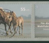 Bund 2007 Wohlfahrt: Pferd Rollenende sk 2635 5er-Streifen mit Nr. TOP-Stempel
