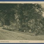 Albtal Schwarzwald Pferdefuhrwerk am Straßentunnel, gelaufen 1922 (AK5682)