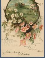 Fröhliche Pfingsten Blüten Sonnenaufgang, gelaufen 1901 (AK5665)