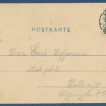 Straßburg im Elsaß Partie in der Orangerie, gelaufen 1901 (AK5876)