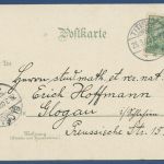 Titisee Jaeger's Schwarzwald-Hotel, gelaufen 1902, Mängel (AK5897)