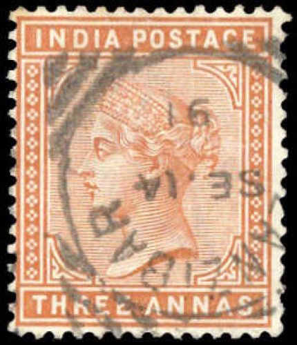 1891, Sansibar, gest.