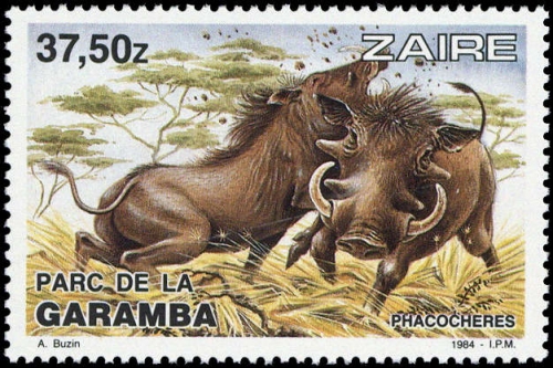 1984, Zaire, 838-45, **