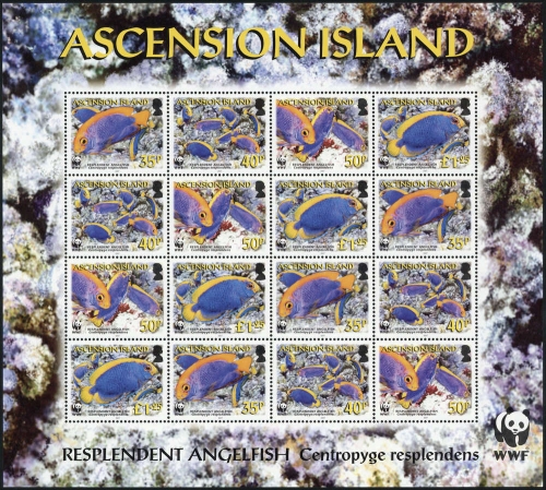 2007, Ascension, 989-92 KB ZD, **