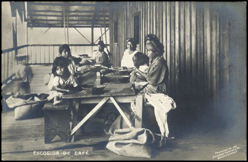 Guatemala, 116, Brief