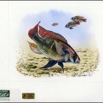 1997, Kenia, (699) Original