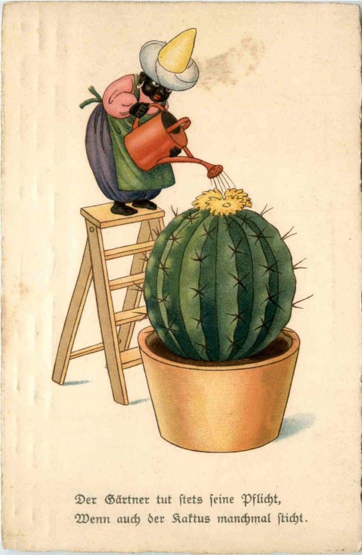 Kaktus Humor