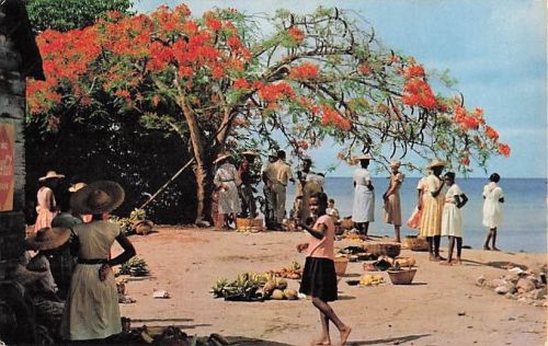 Ak Martinique Trois-Rivieres Markt Market Italcolor Foto Felix Rose-Rosette CPM