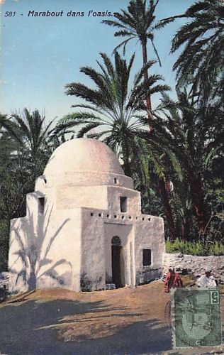 581 Marabout dans l'oasis.