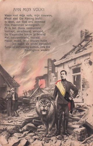 patriotische Propagandapostkarte aus dem Ersten Weltkrieg König Albert I.