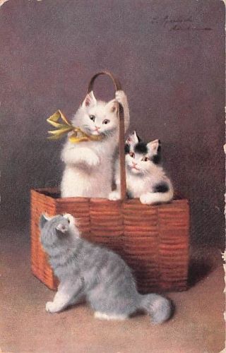 Ansichtskarte Katzen beim Spielen