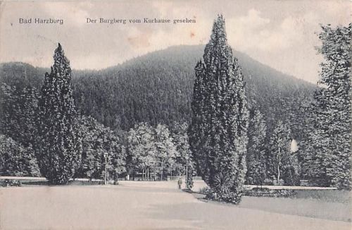 Bad Harzburg Der Burgberg vom Kurhause gesehen
