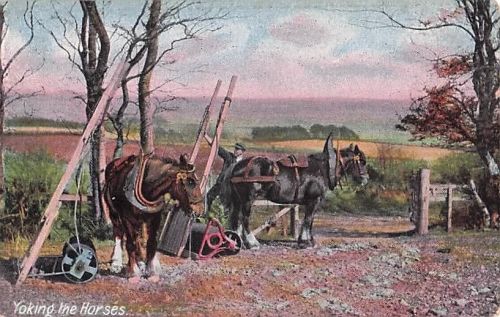 Alte Postkarte Yoking the Horses Pferde Anschirren Landwirtschaft JWB um 1910