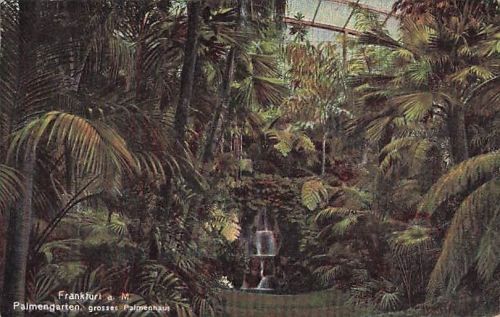 Frankfurt a. M Palmengarten, grosses Palmenhaus