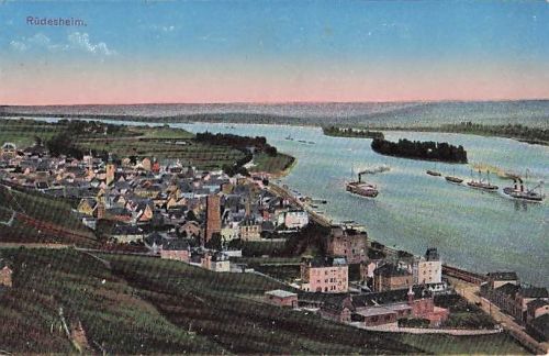 Postkarte Carte Postale RueDESHEIM am Rhein Hessen Panorama