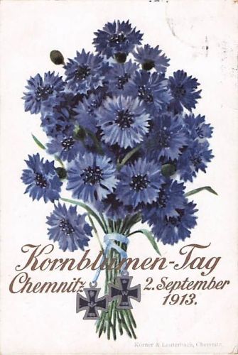 Historische Postkarte Chemnitz 1913 Kornblumen-Tag mit seltenem Steno-Text