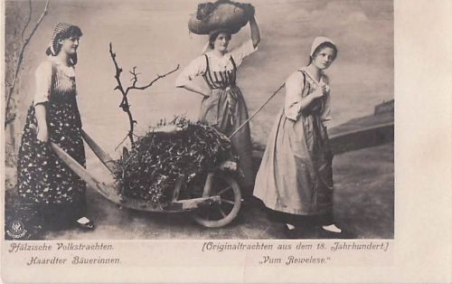 Alte Foto-AK Pfälzische Volkstrachten Haardter Bäuerinnen NPG Postkarte Pfalz