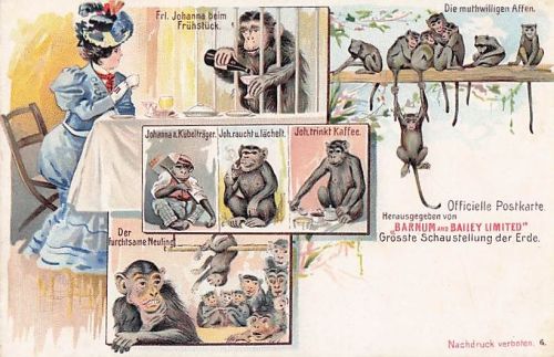 Zirkus Barnum & Bailey Postkarte Affe Johanna antik um 1900 Litho