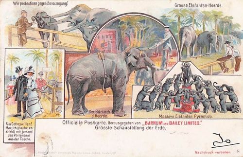AK Barnum & Bailey 1901 Grösste Schaustellung der Erde Elefanten Zirkus München