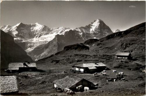 Grindelwald - Alp Bachläger