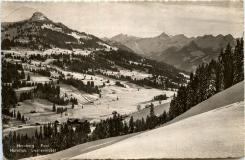 Hornberg - Funi Saanenmöser