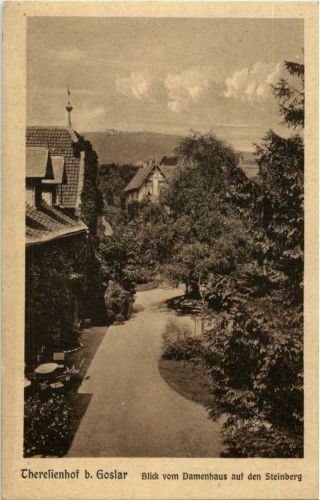 Theresienhof bei Goslar - Blick vom Damenhaus auf den Steinberg